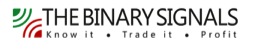 binary signals logo