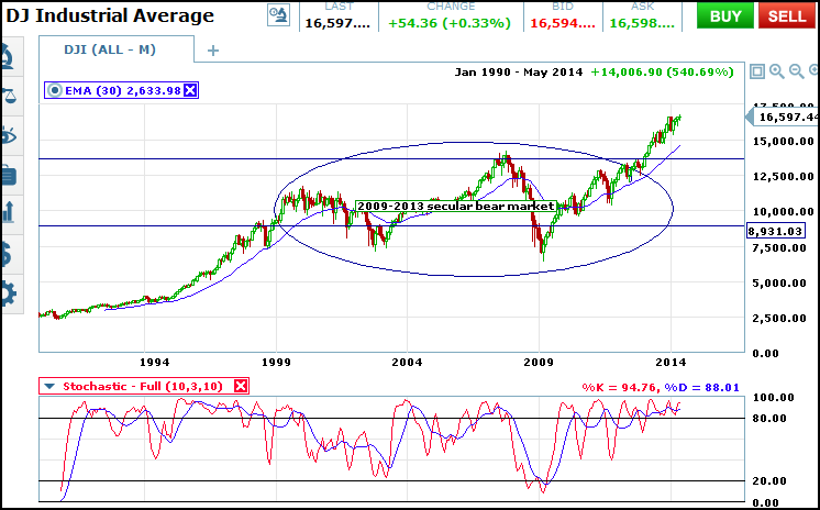 dji_secular_bear