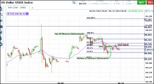 Fibonacci day waves