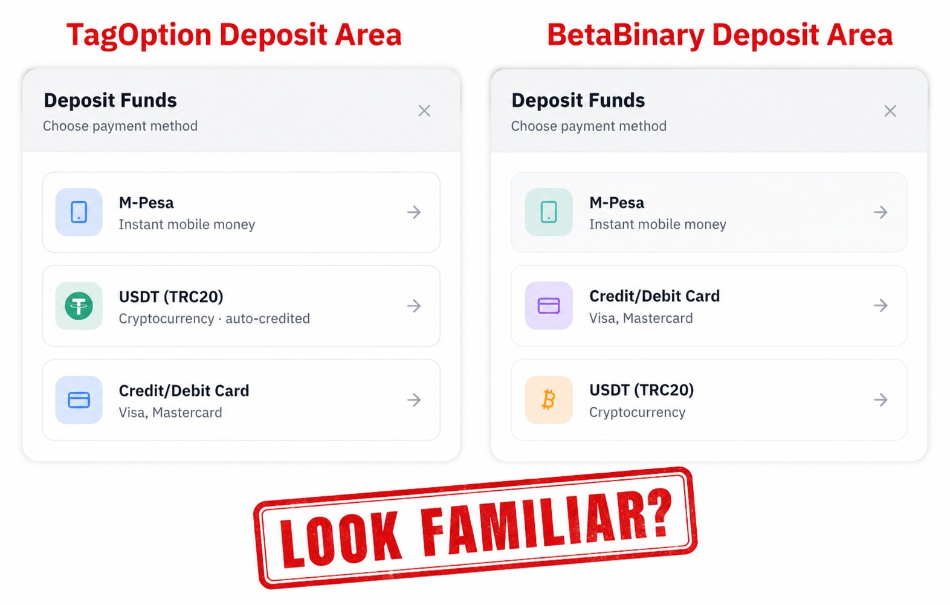 Screenshots of the BetaBinary and TagOption deposit portals