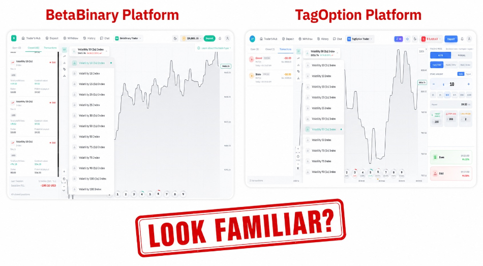 Screenshots of the BetaBinary and TagOptions platforms - showing they're essentially the same